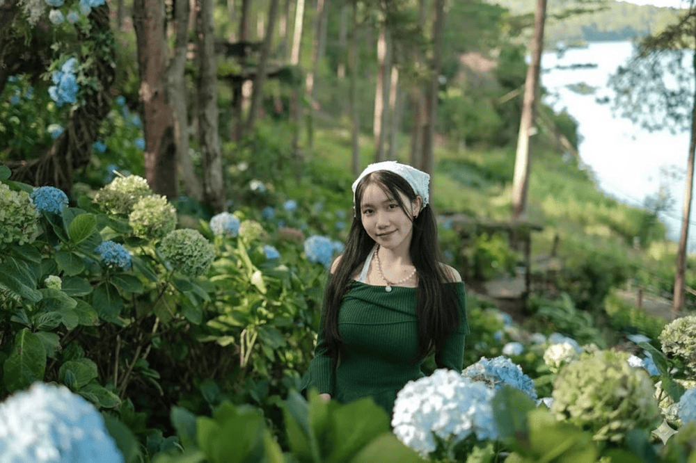 Khu vườn ngập tràn hoa cẩm tú cầu với màu xanh ngát, tôn lên nét dịu dàng của bạn